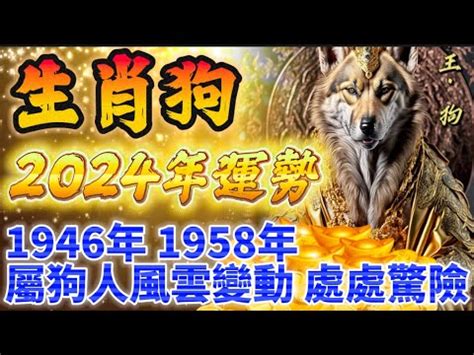 1958生肖配對|【1958年農曆生肖】驚！1958「狗年」命運超強！揭秘你的生肖。